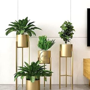 Display Plant Stand